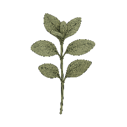Orégano