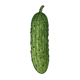 Pepino