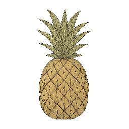 Abacaxi