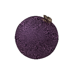Jabuticaba