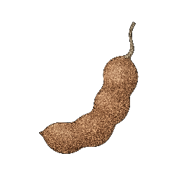 Tamarindo