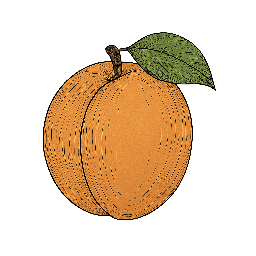 Damasco