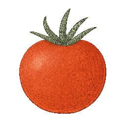 Tomate