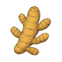 Cúrcuma