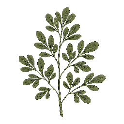 Arruda