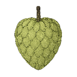 Atemoia