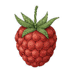 Framboesa