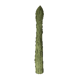 Aspargo