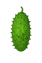 Maxixe
