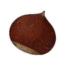 Castanha